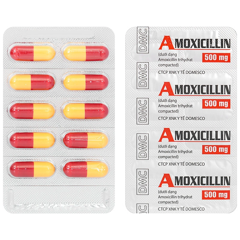 Amoxicillin 500mg điều trị nhiễm khuẩn (10 vỉ x 10 viên) - 7